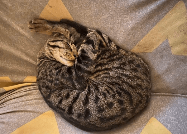 &laquo;&nbsp;Bien dans sa peau&nbsp;&raquo;